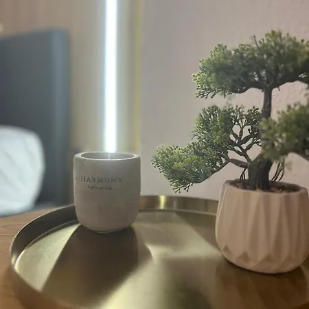 Apartment Park Center *