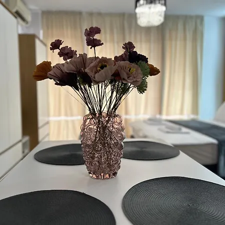 Park Center Apartment *