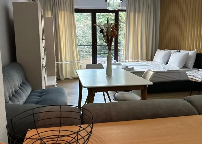 Park Center アパート サンダンスキ